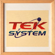 Tek-System Informatica